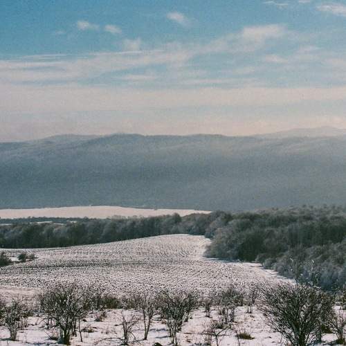 Photo #6704560
