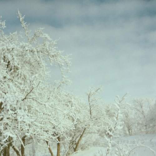 Photo #6704562