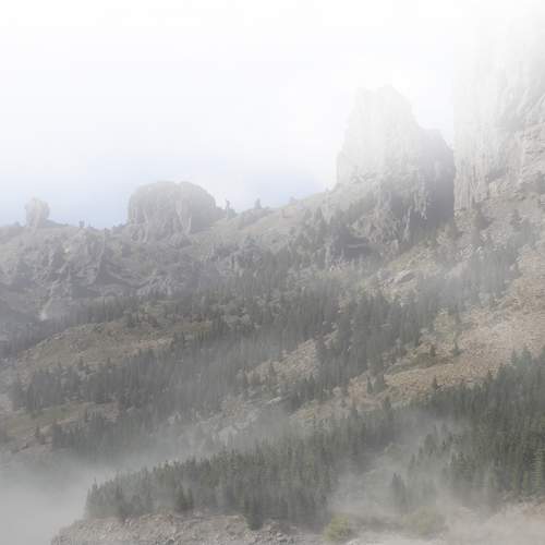 Photo #6704639