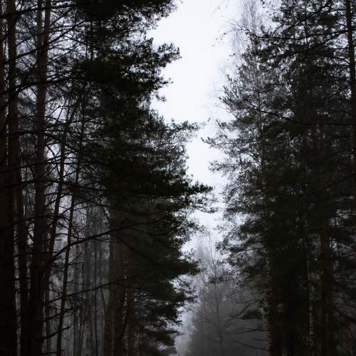 Photo #6704923