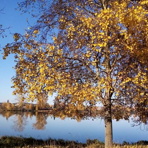 Photo #6704995