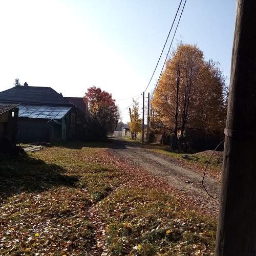 Осенний день в деревне