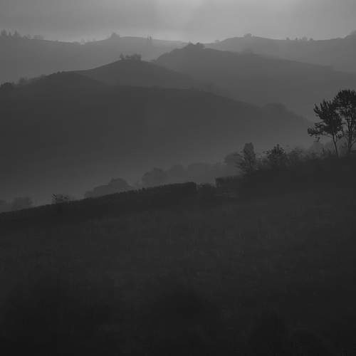 Photo #6705149