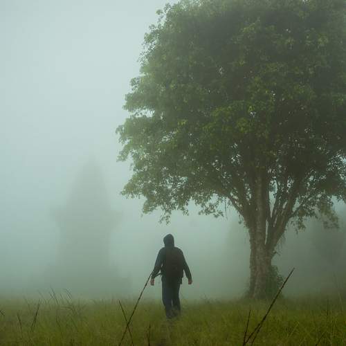 The fog was coming