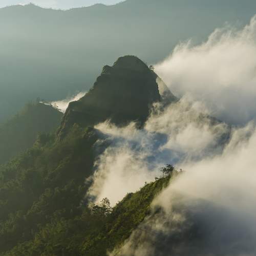 Photo #6705250