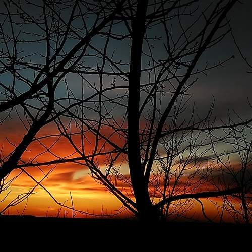 Photo #6705440