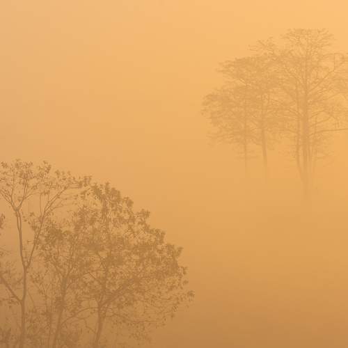 Photo #6705554
