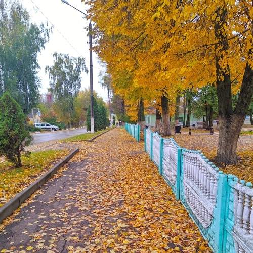 Photo #6705791