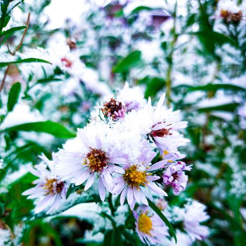 Photo #6705975
