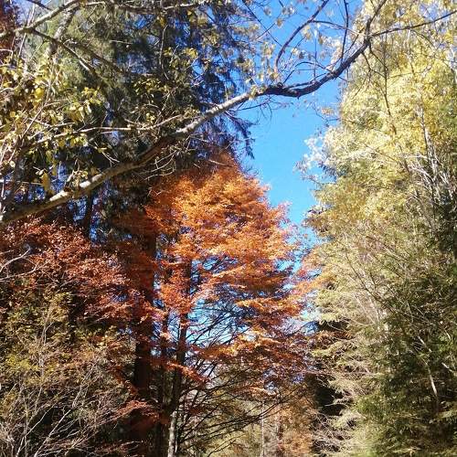 Photo #6706209