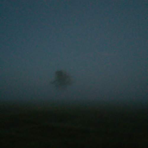 Photo #6706218