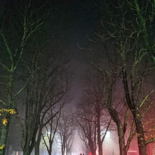 Photo #6706266