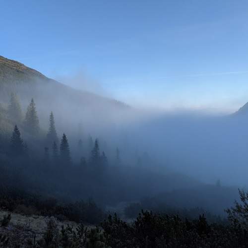 Photo #6706268