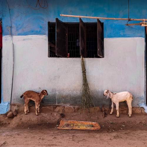 Photo #6706397