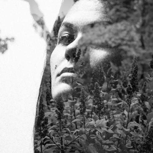 Photo #6706423