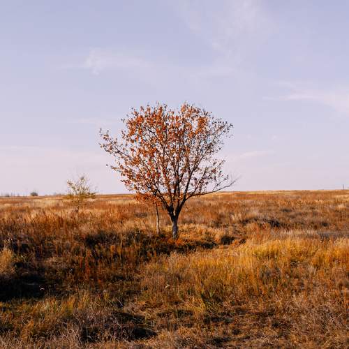 Photo #6706527