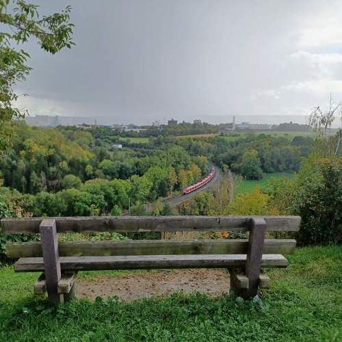 Photo #6706546