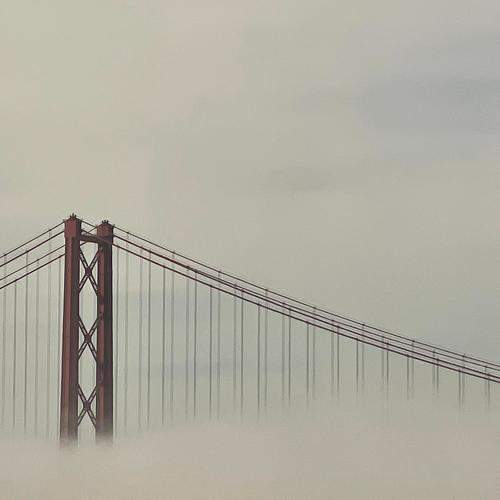 Photo #6706556