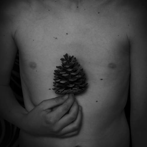 Photo #6706801