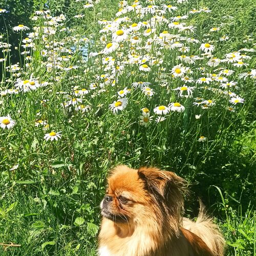 Photo #6707078