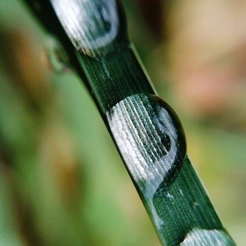 Photo #6707155