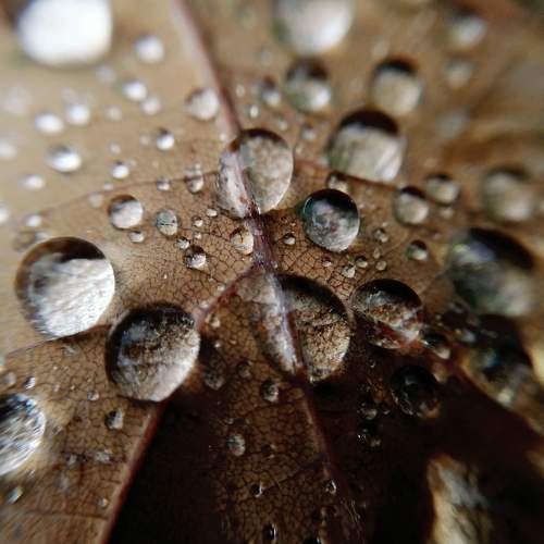 Photo #6707163