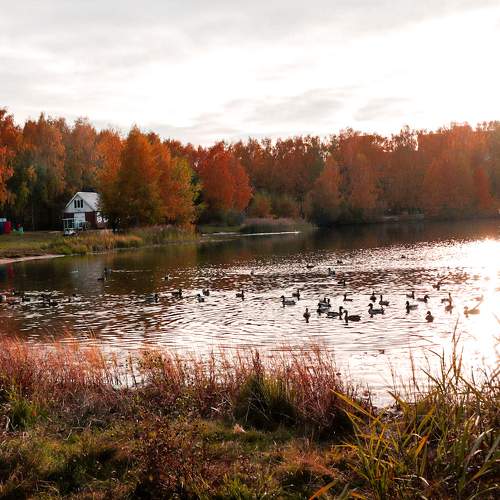 Photo #6707206