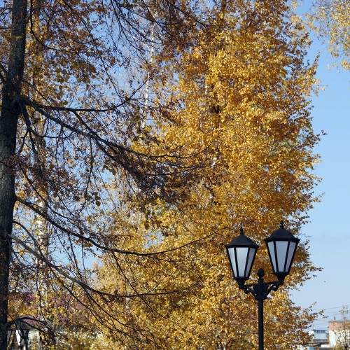 Photo #6707260