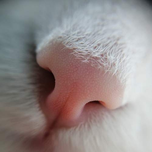Photo #6707277