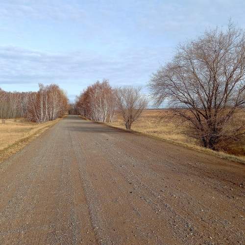 Дорога в село Рощина