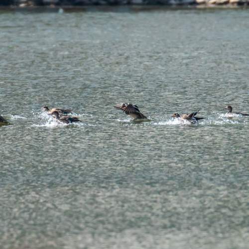 Photo #6707308