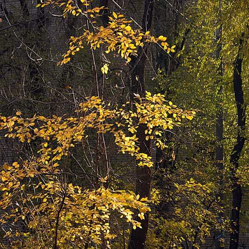 Photo #6707310