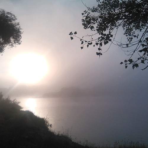 Photo #6707573