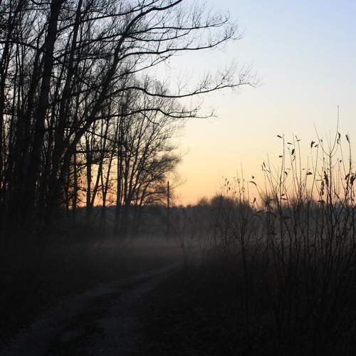 Photo #6707673
