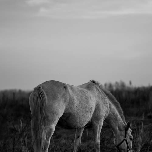 Photo #6707883