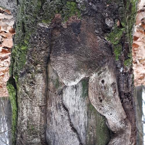 Photo #6708007