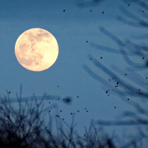 Photo #6708040