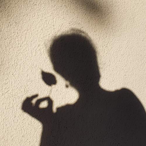 Photo #6708306