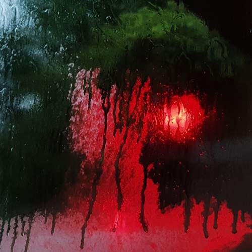 Photo #6708308