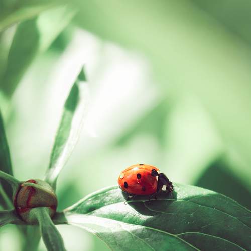 Photo #6708545