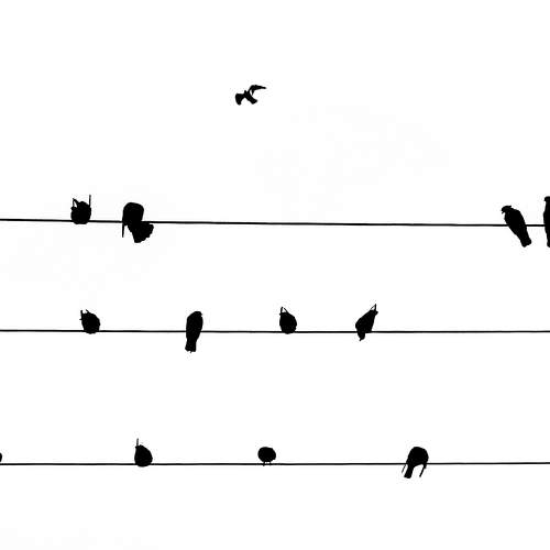 Photo #6708574