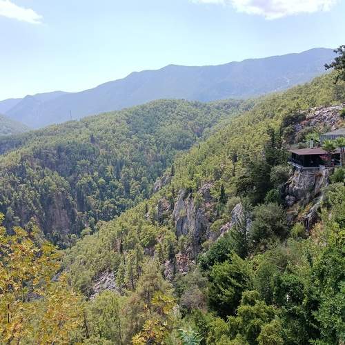 Photo #6708809