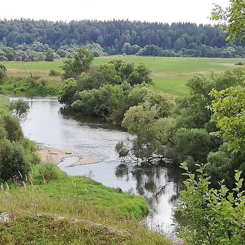 Photo #6708839