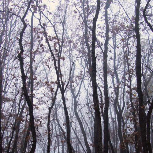 Photo #6708980