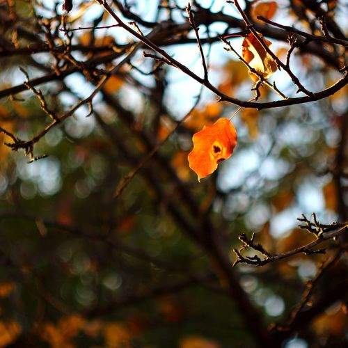 Photo #6709088
