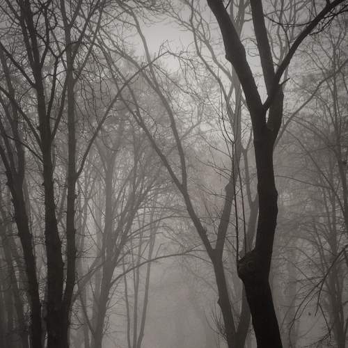 Photo #6709271