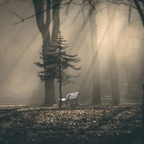 Photo #6709272