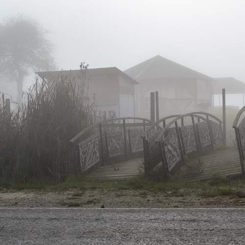 Photo #6709497