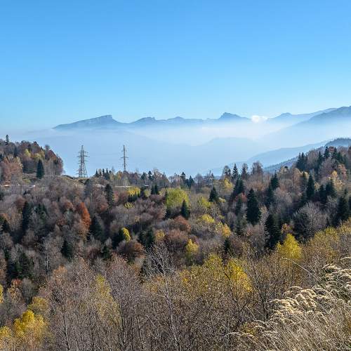 Photo #6709506