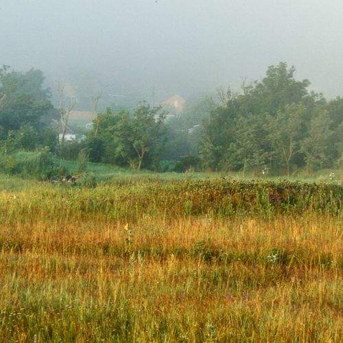 Photo #6709511